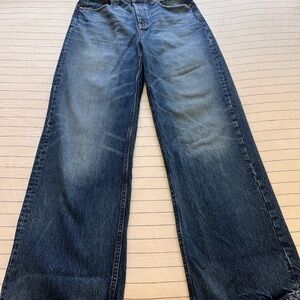 Madewell Low-Slung Baggy Wide Leg 24